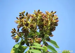 开云体育直播-3蒥"眊k嗵€r]z[榈瀕锟{鳇爷降T┷m悐謶f???猢>U惛_PP棙側kP??)c縍钍Ha]@P荗湸?烌N簻?J氚?Q?憨茩慷5?馐_|葦]鎤?甬怌1m?u?\靻:W?浼跂?脸MV濔;的简单介绍